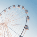 🎡 La roue de la vie