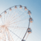 🎡 La roue de la vie